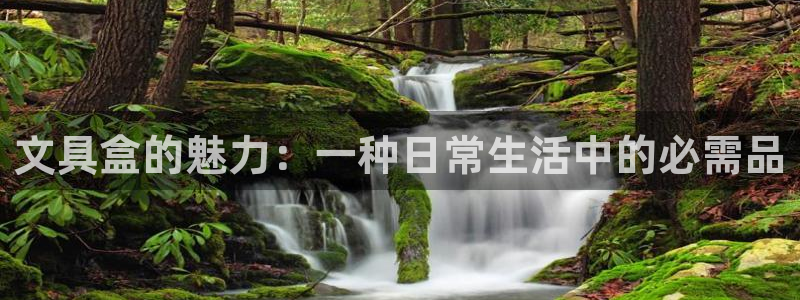 龙八国际有没有假：文具盒的魅力：一种日常