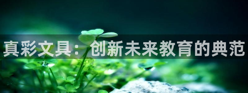 龙八国际网店客服电话：真彩文具：创新未来