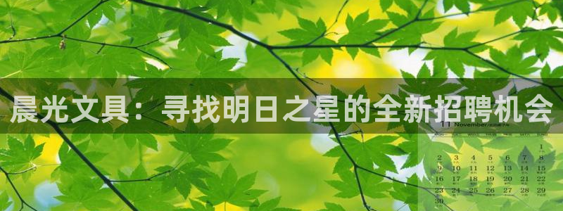 龙八国际手机下载地址：晨光文具：寻找明日
