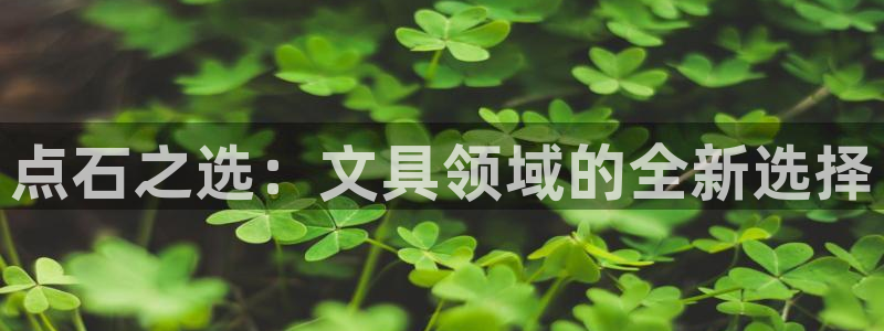 龙八国际娱乐app：点石之选：文具领域的