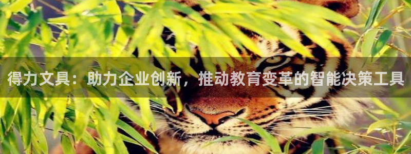 下载龙八国际app：得力文具：助力企业创