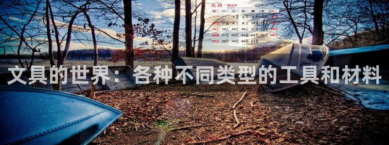 龙八国际app骗局