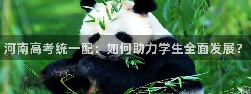 龙八国际平台安卓：河南高考统一配：如何助