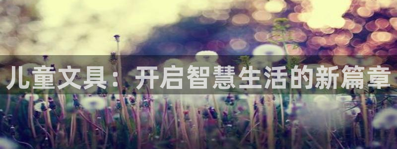 龙八国际app客户端经济区：儿童文具：开