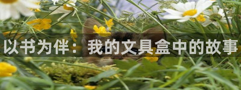 项目名称龙八国际