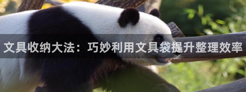 龙八国际服官网进入：文具收纳大法：巧妙利