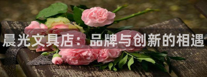 龙八国际登入：晨光文具店：品牌与创新的相