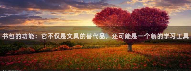 龙八国际什么诈骗：书包的功能：它不仅是文