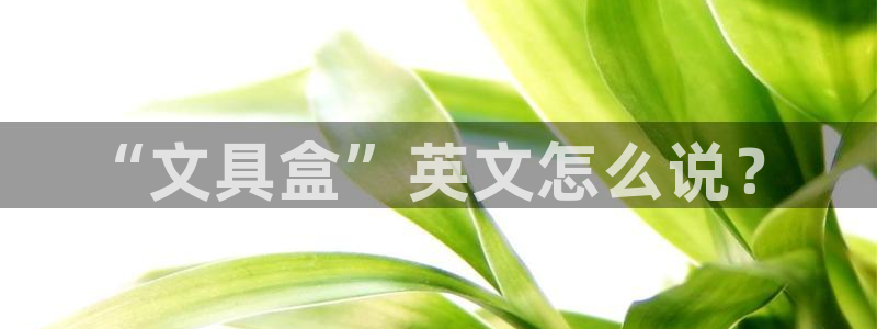 龙八国际网页long8868：“文具盒”