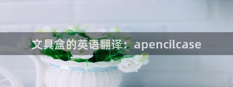 龙八国际app首页：文具盒的英语翻译：a