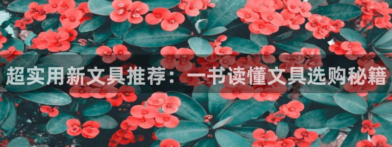 龙八国际优惠券：超实用新文具推荐：一书读
