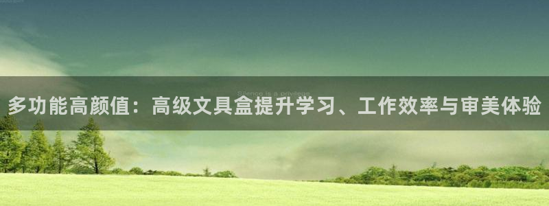 龙八国际平台手机版下载：多功能高颜值：高